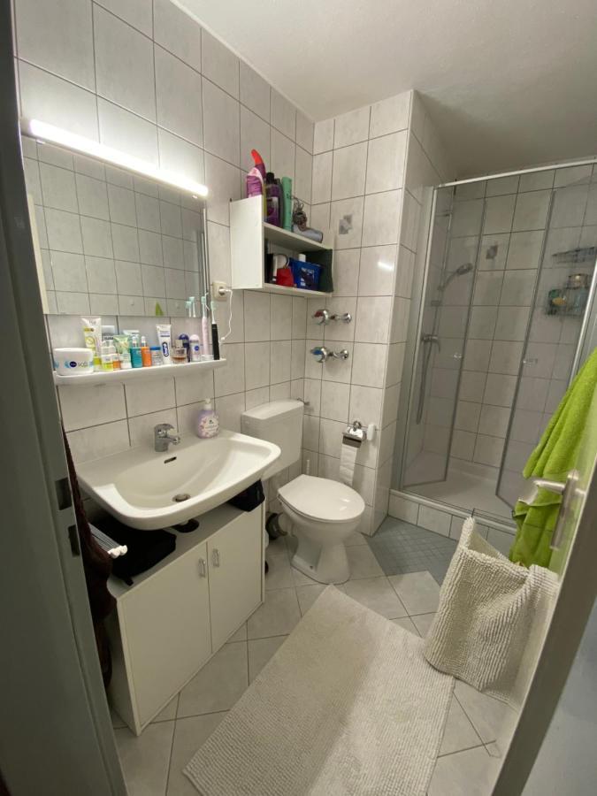 Appartement Dreisessel Dreilaendereck Pool Sauna Neureichenau